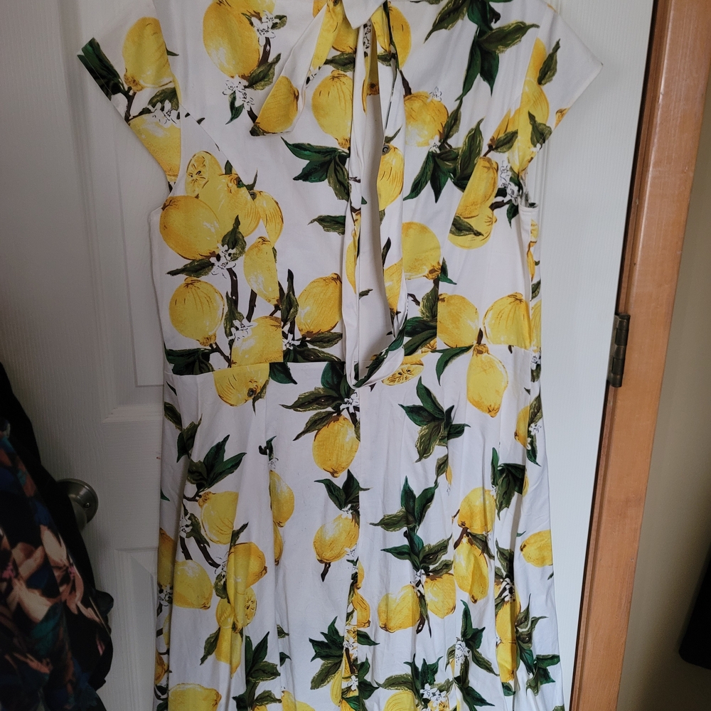 1950s Rockabilly Inspired Plus Size Dress with Vibrant Lemon Print - Picture 6 of 6